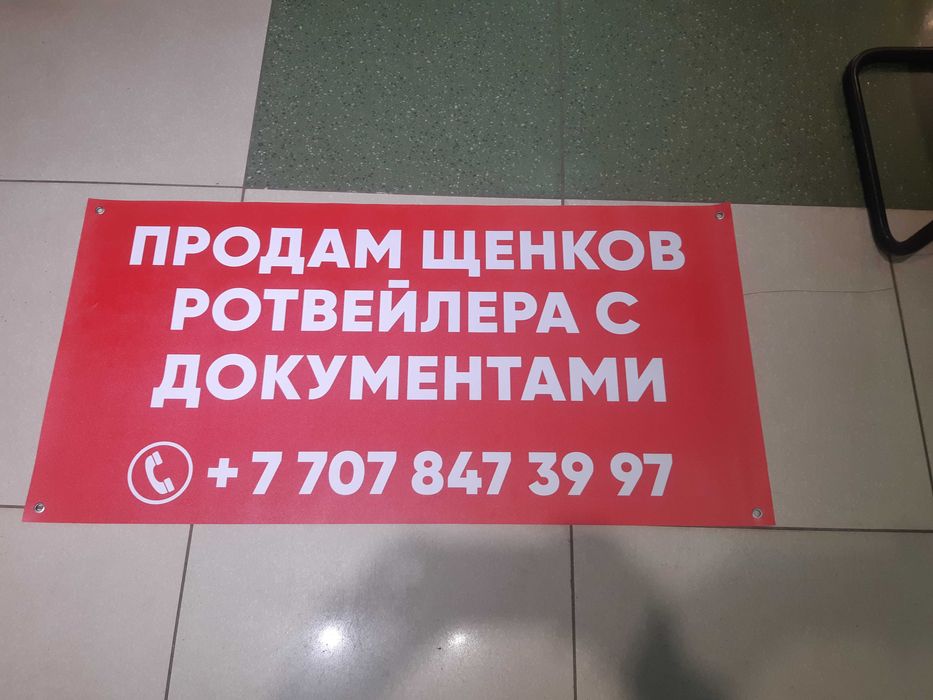 Оракал, Баннер, Холст