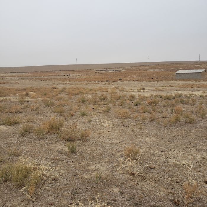 Участок 1 гектар