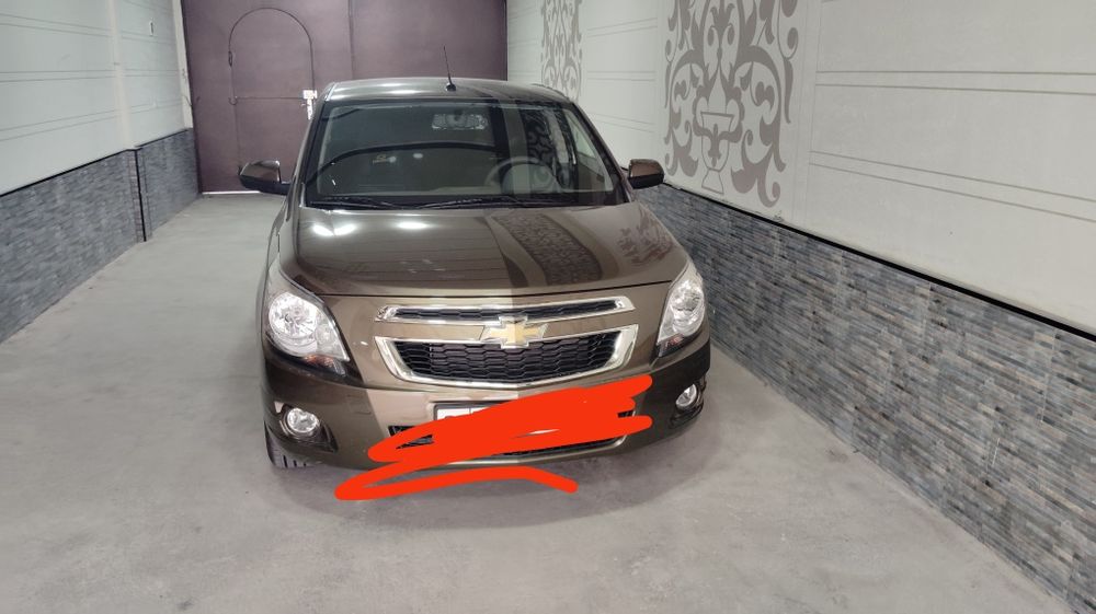 Кобальт зеус 2024