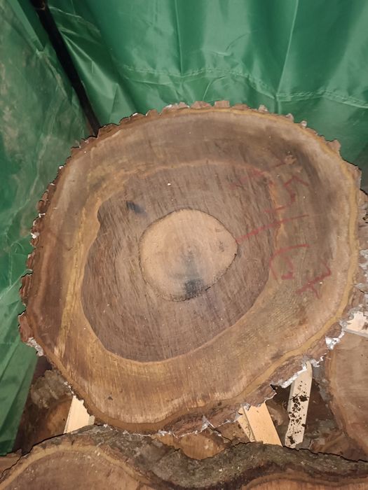 Rondele felli din lemn de nuc