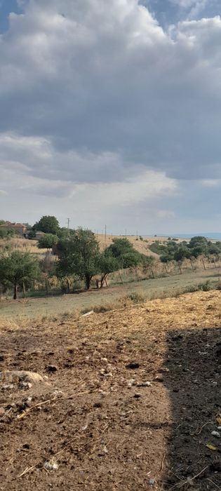 Продава се Къща в Любимец - 694 кв.м за 24 €/кв.м - Снимка #4