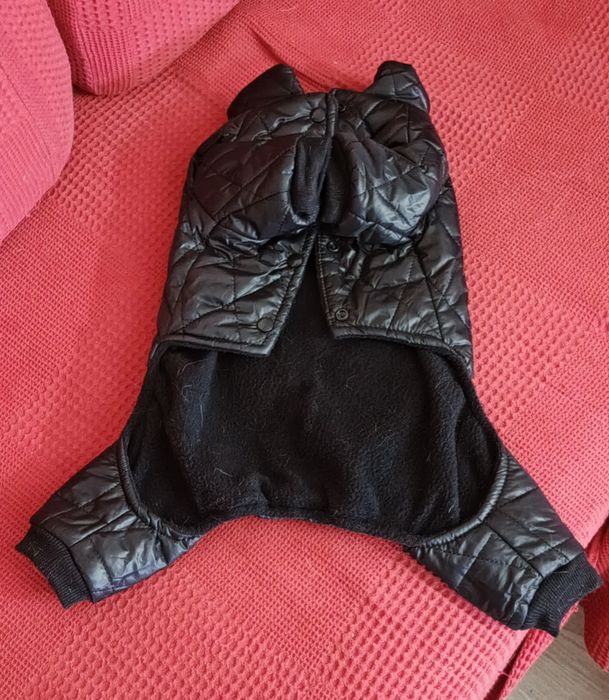 Одежда для собак