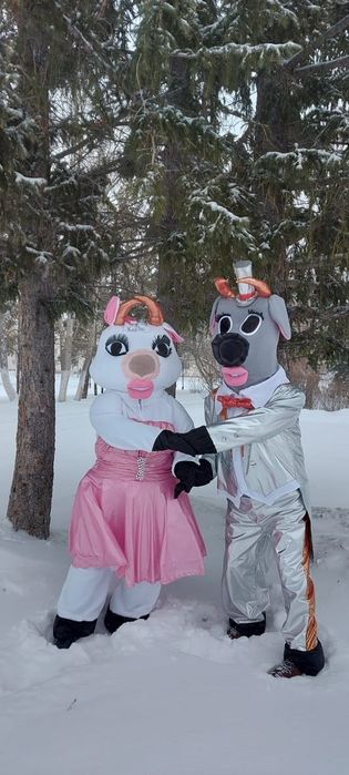 Продам ростовые костюмы