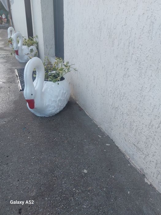 lebada beton alb