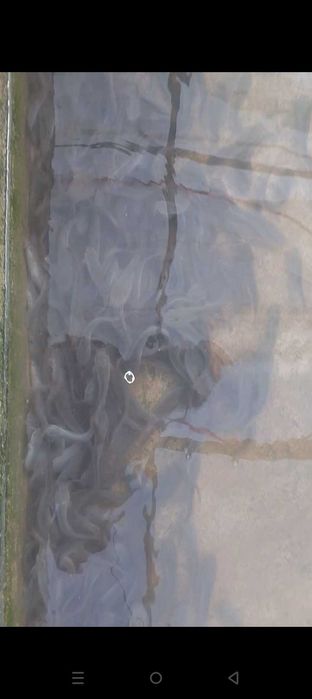 Afrika laqqa baliq malyoklari bor Chirchiq