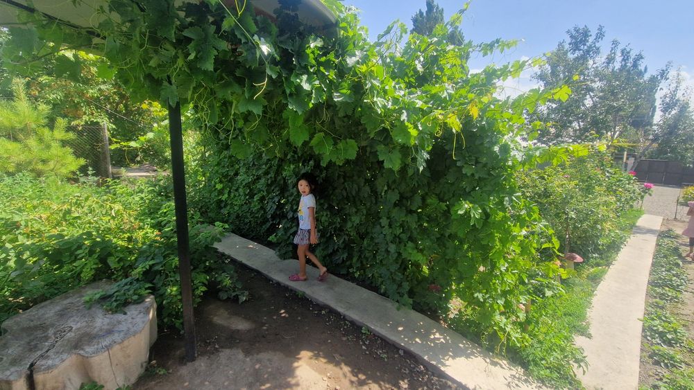 Уй сатылады,Қарабұлақ.