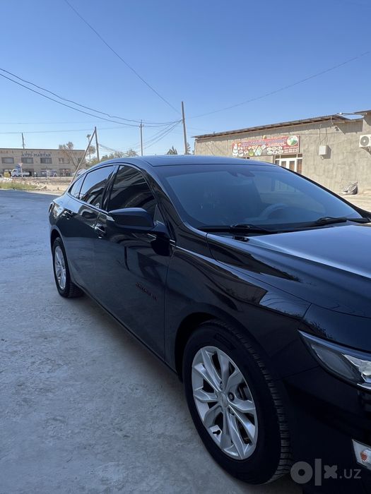 MALIBU XL tozza 100%