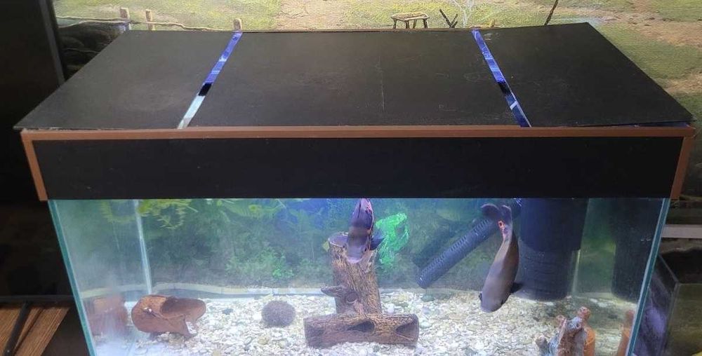 Аквариум 129 литров с крышкой