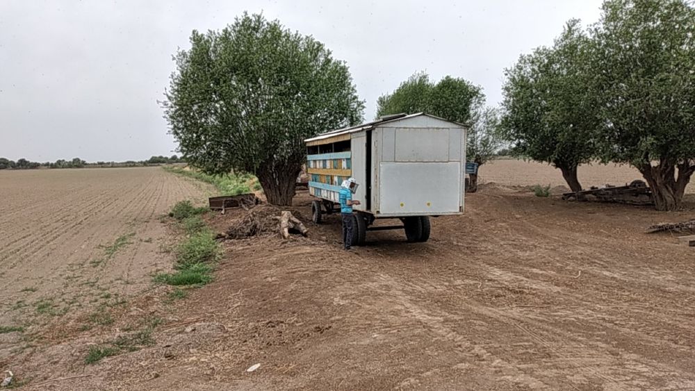 Продам пчелоприцеп