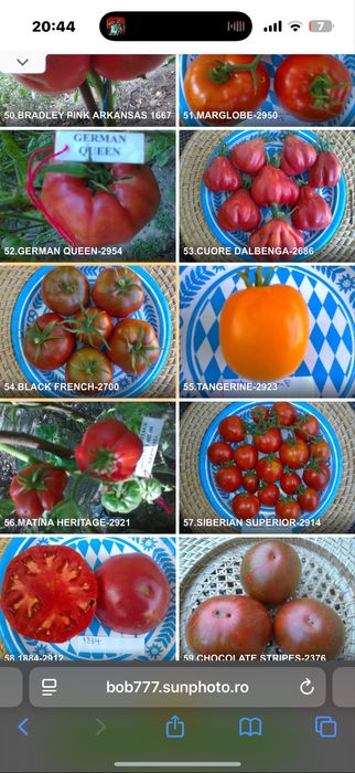 Seminte rosii romanesti si straine ! Am peste 150 soiuri pure !