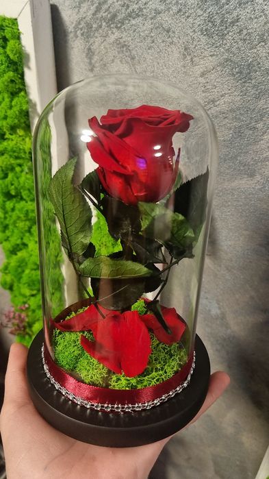 Trandafiri criogenați