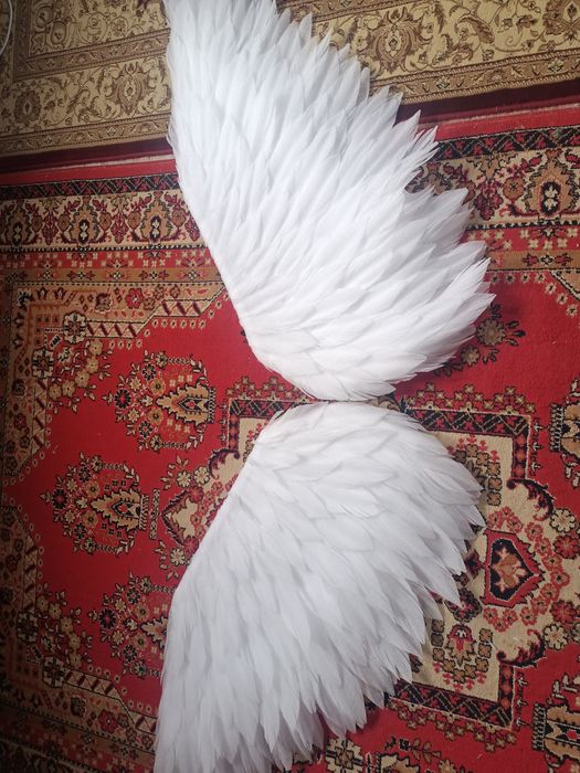 Ангельские крылья