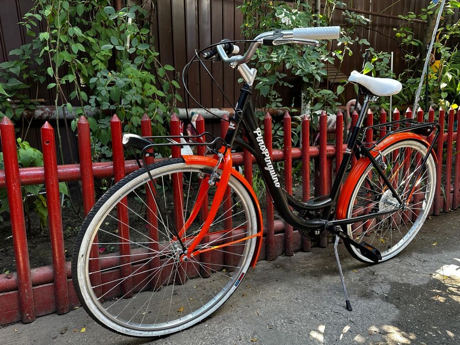 Bicicleta pino pinguino