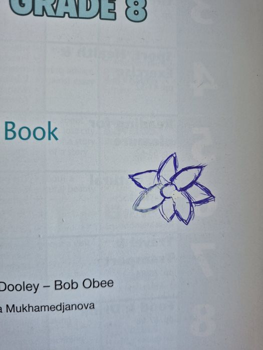 Excel student's book