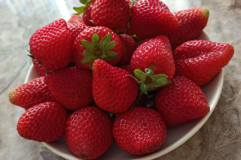 Продам дачу сад Здоровье