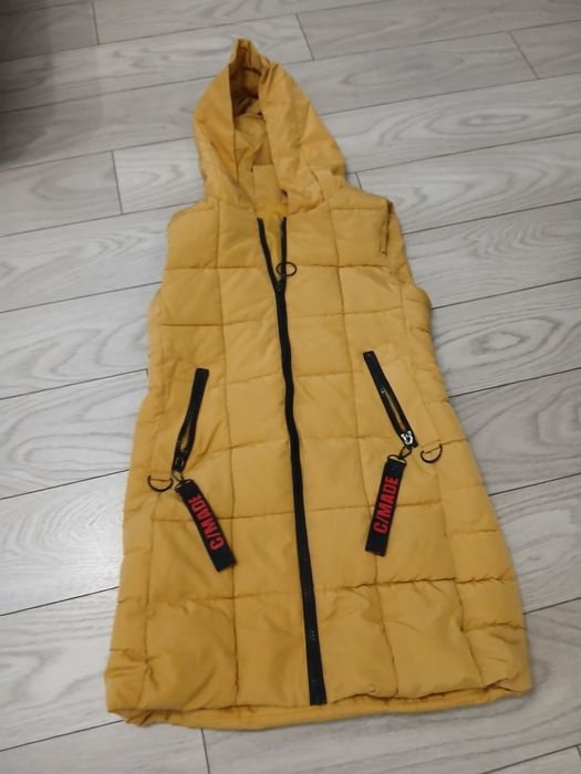 Vesta Dama impecabila