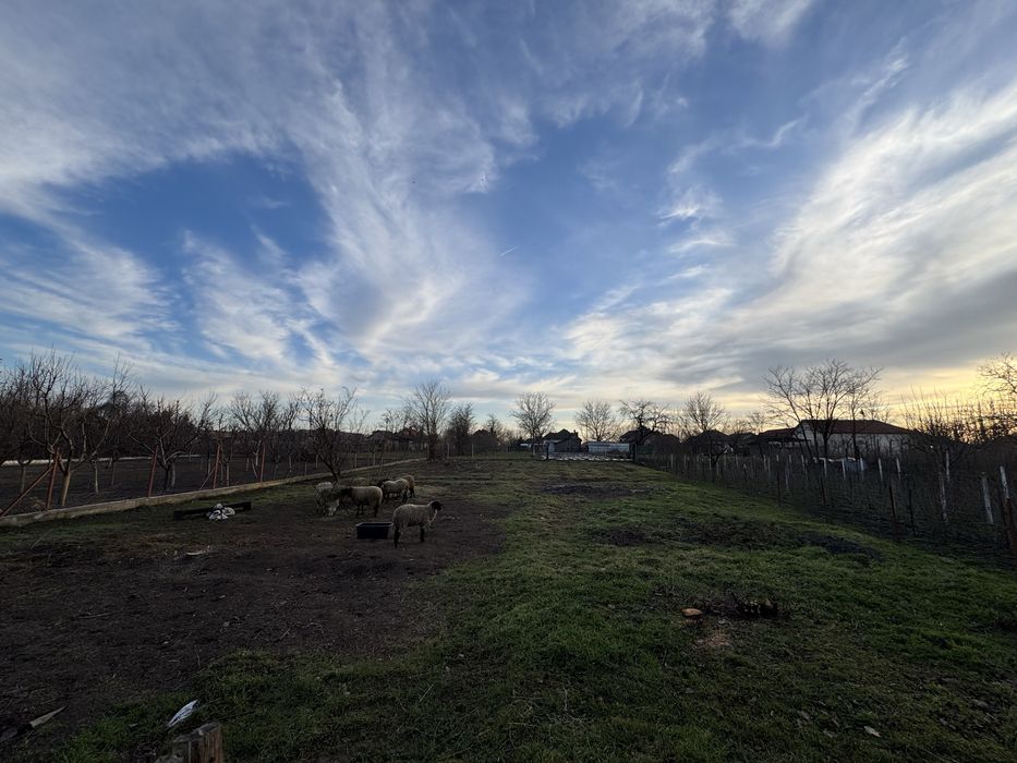 casa de vanzare in bailesti