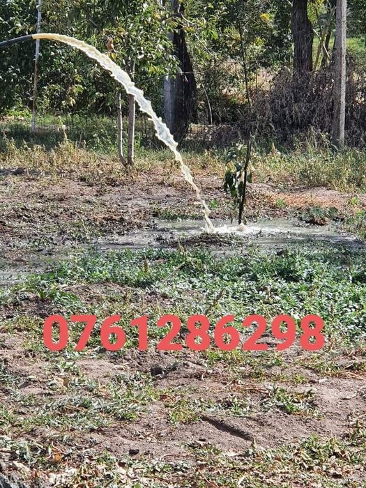 Foraje puțuri nr de tel:0761286298