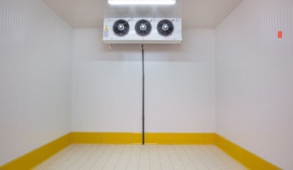 Холодильные камеры ( на долгий срок и посуточно)

Температурная камера