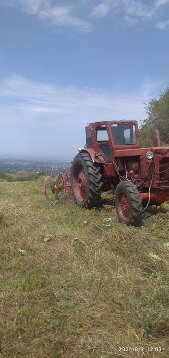 Продам сено в тюках.