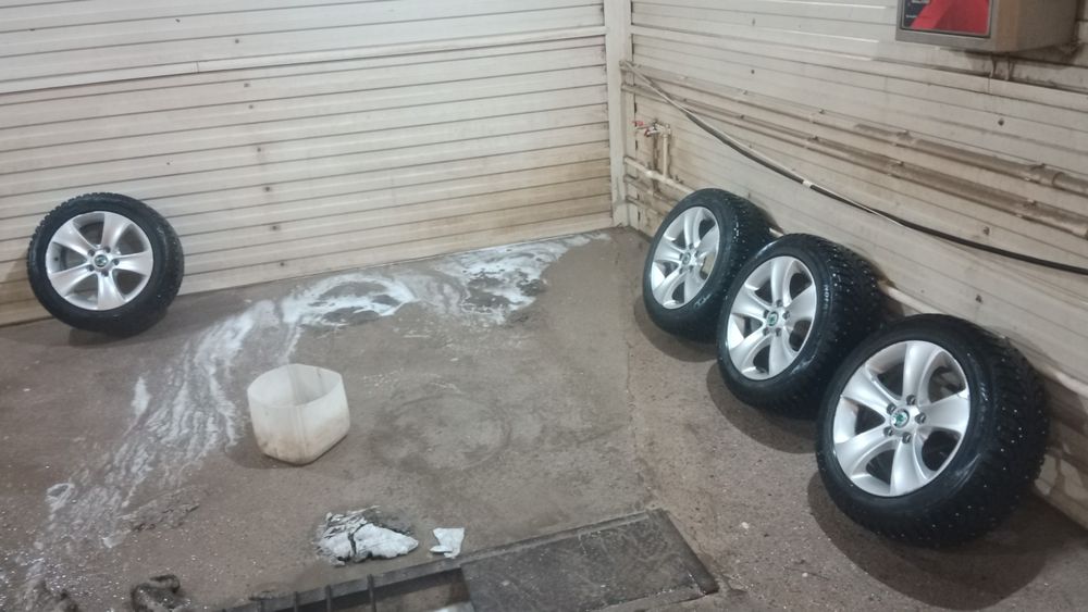 Диски с покрышки от шкоды