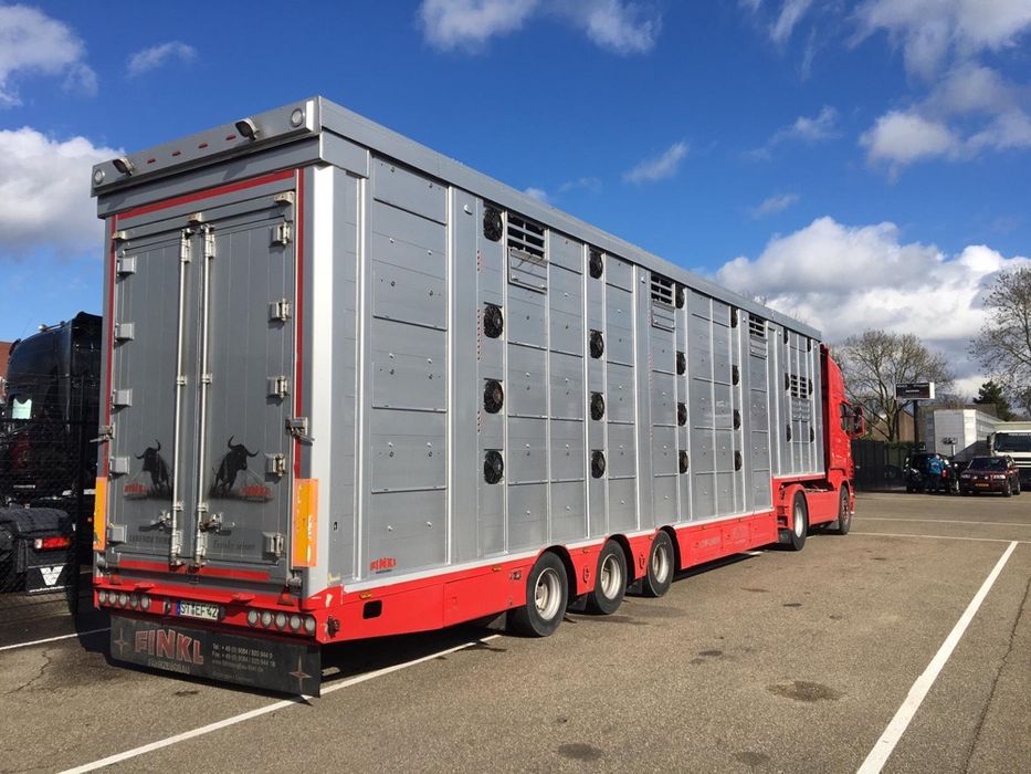 Transport bovine /vaci /