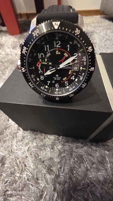 Vand Citizen  Promaster