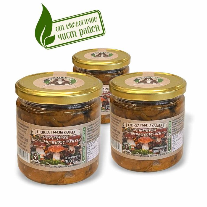 Гъбена салата от Еленския Балкан