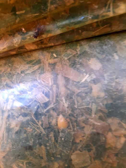 Selos sotiladi narxlari xamyonbop  donli