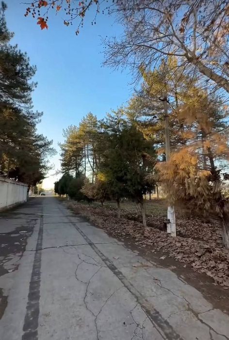 Продаётся птицеферма