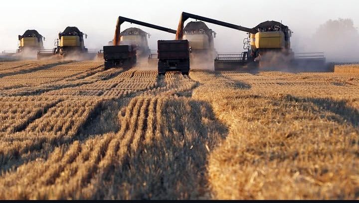 Продажа зерновых культур