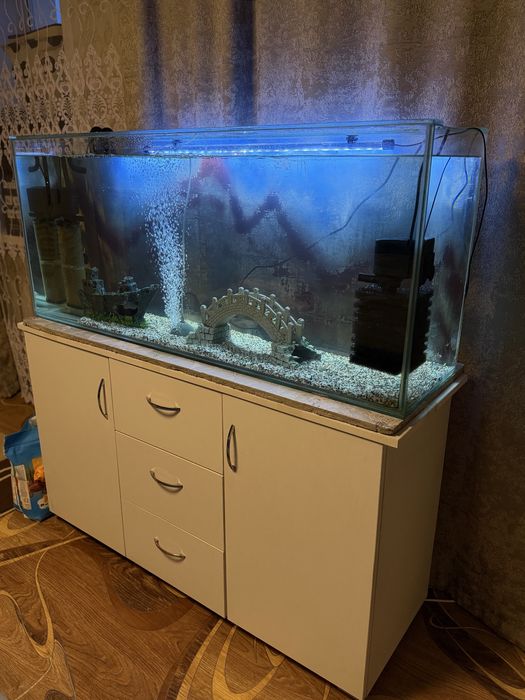 Аквариум на 180 дитроа