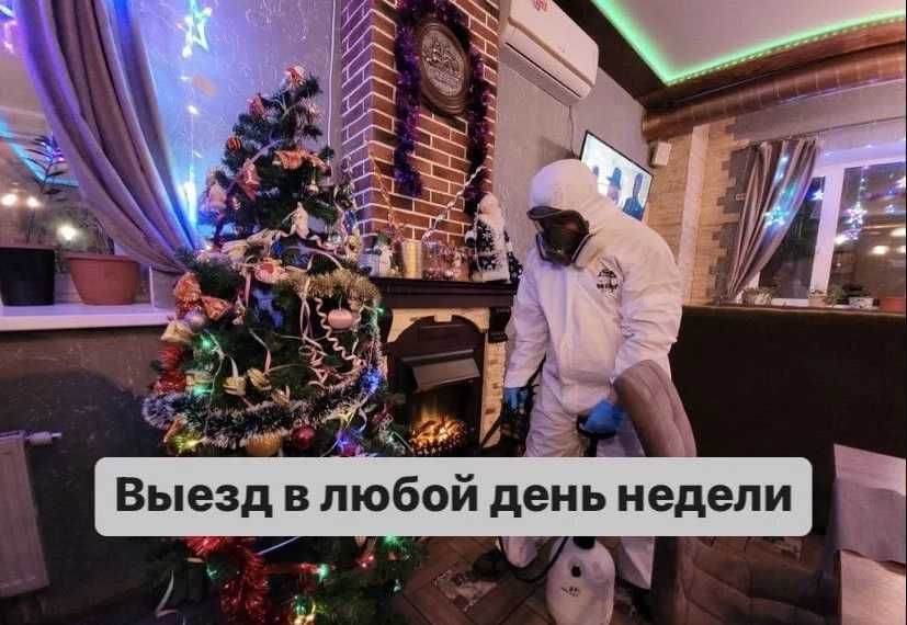 Клоп, таракан, блох, klapa, tarakan, ilon. Dezinfeksiya Дезинфекция