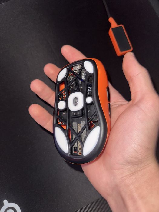 Ardor patron, LAMZU maya fnatic