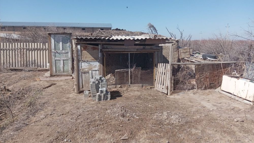 Саяжай Дача Зимний вариант