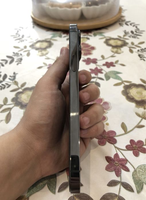 Iphone 13 pro max srochni