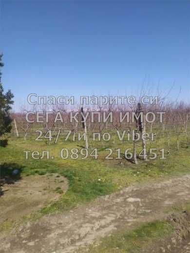 Продава се Парцел в с. Калековец, Област Пловдив - 9000 кв.м за 7 €/кв.м - Снимка #5