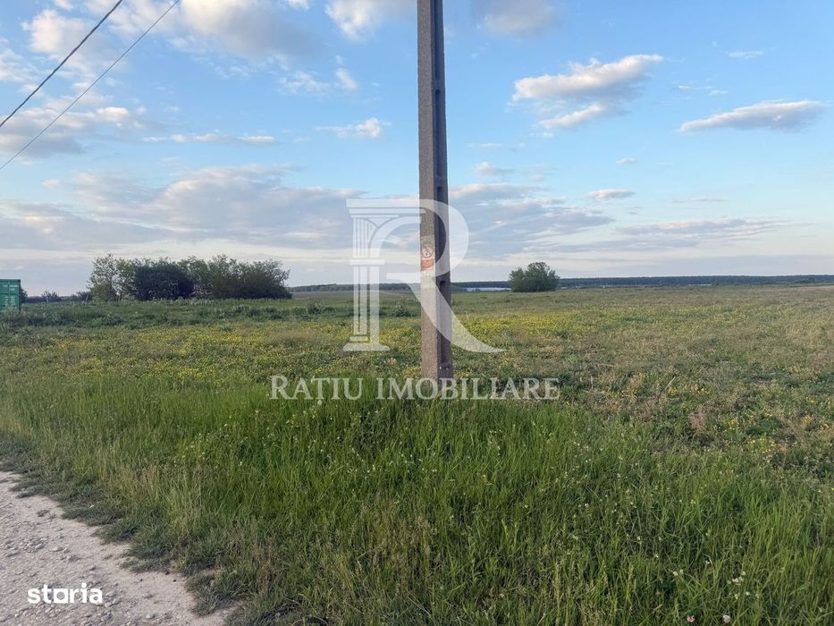 Teren extravilan | Păușa | Bihor