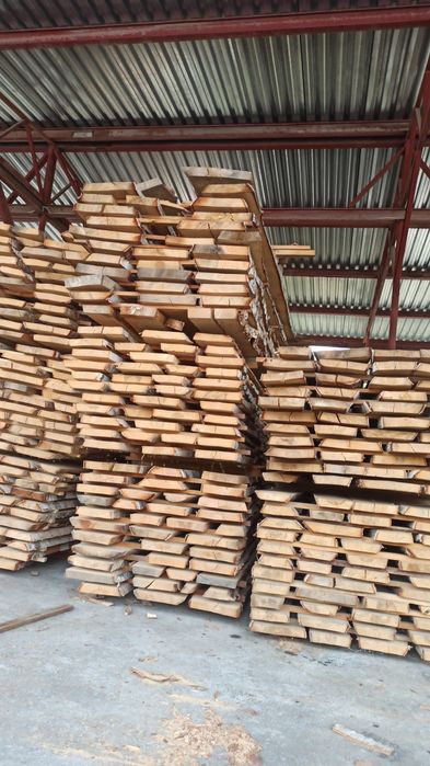 Карагач, берёза , дуб ясень