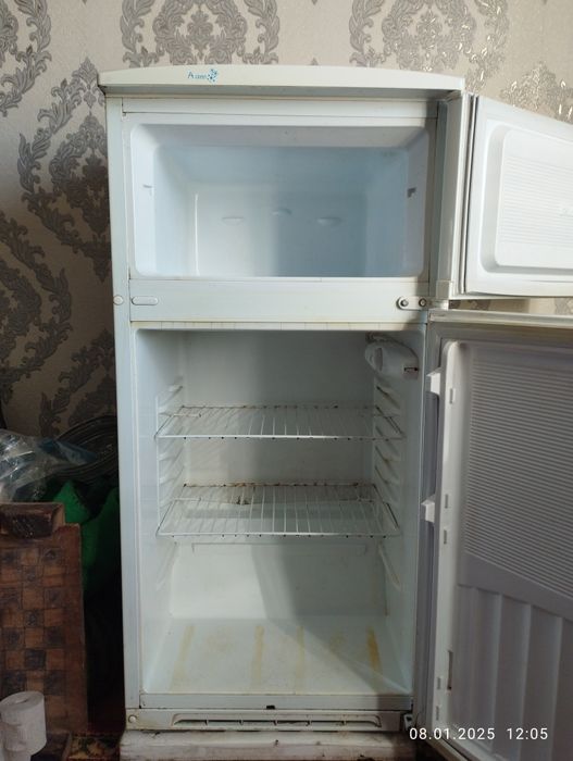 Muzlatkich kompaniya Nord