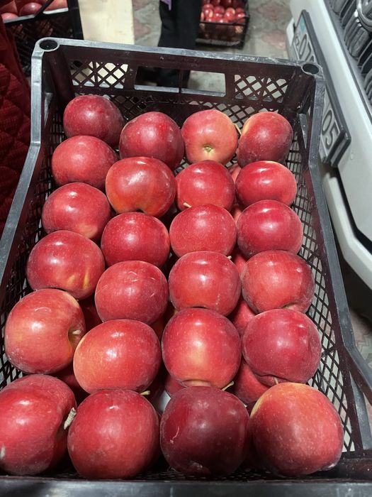 В продаже яблоко айдаред