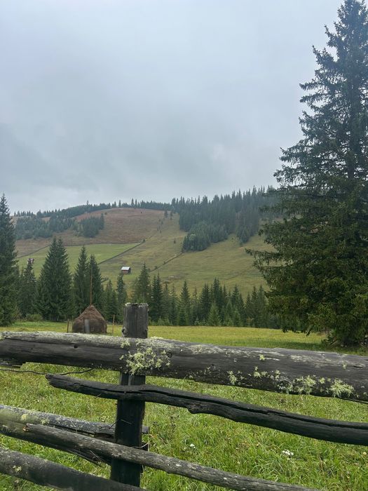 Teren de vânzare în zona Pârâul Negri, com. Breaza, Suceava.NEGOCIABIL