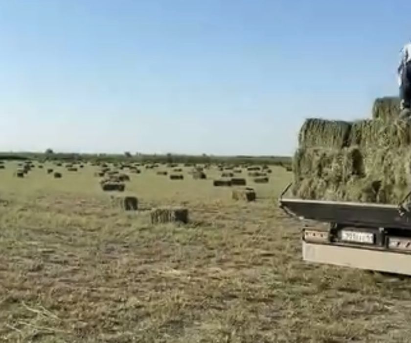 Жоңыршқа пресс бар таза ұзындығы 80/90
