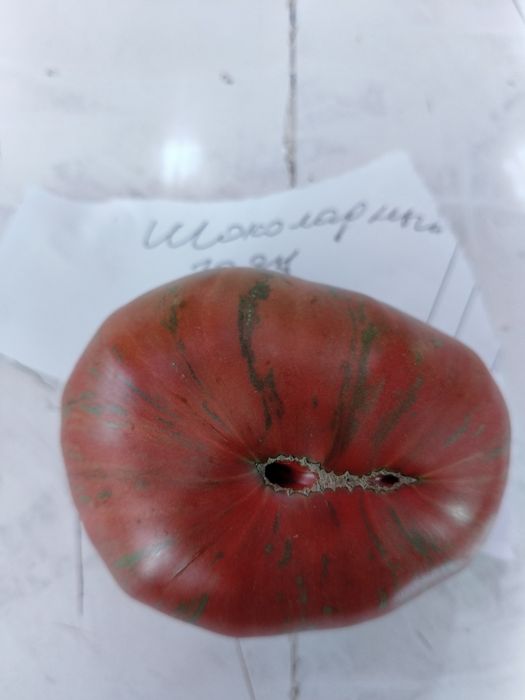 Продам семена томатов