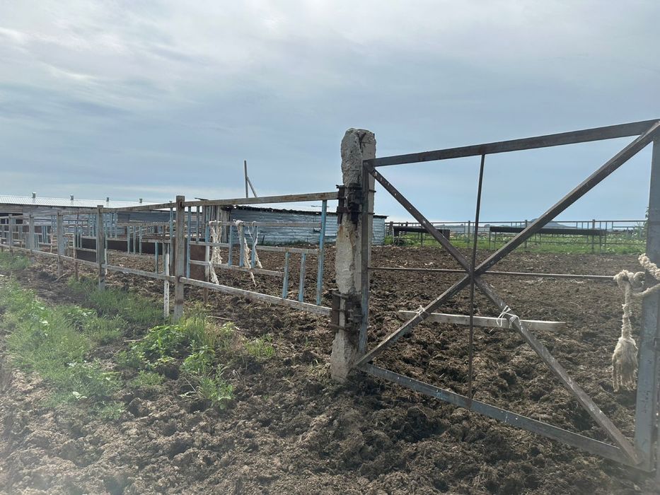 Продам крестьянское хозяйство фазенду