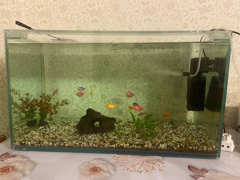 Аквариум 100л с рыбками