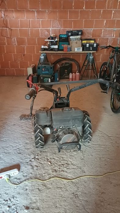 Cositoare Bertolini 900  euro negociabil