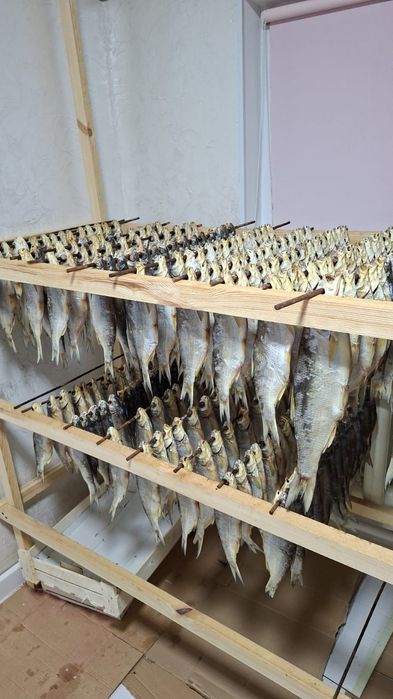 Ребец бар сатылымда