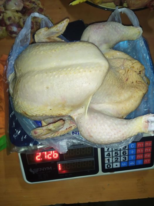 Куриные тушки бройлера