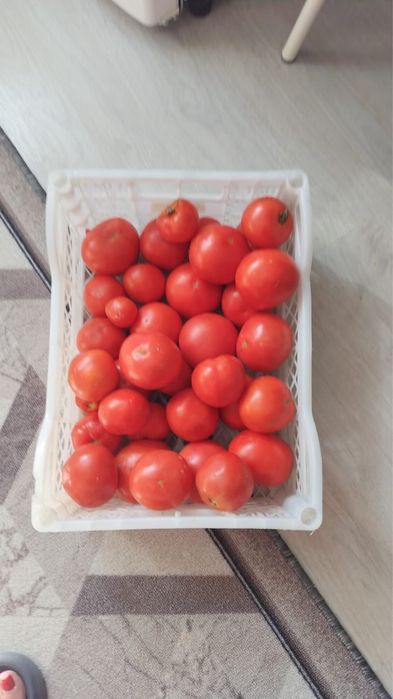 Продам домашние помидоры